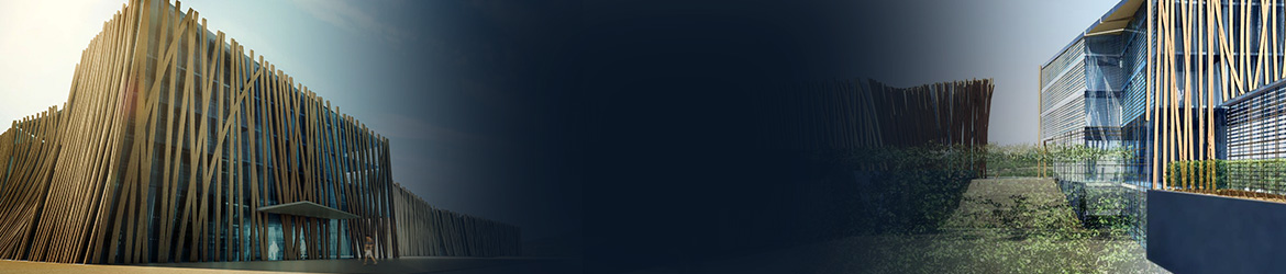 Mester de Parajd, Référence étude Chai de Cassan